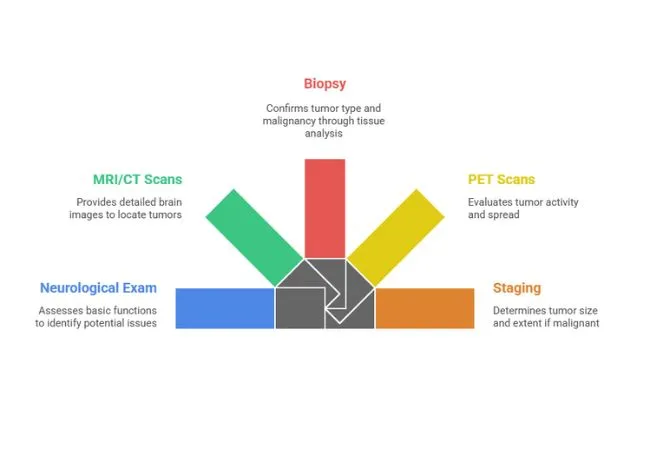 Diagnosis of Brain Tumors